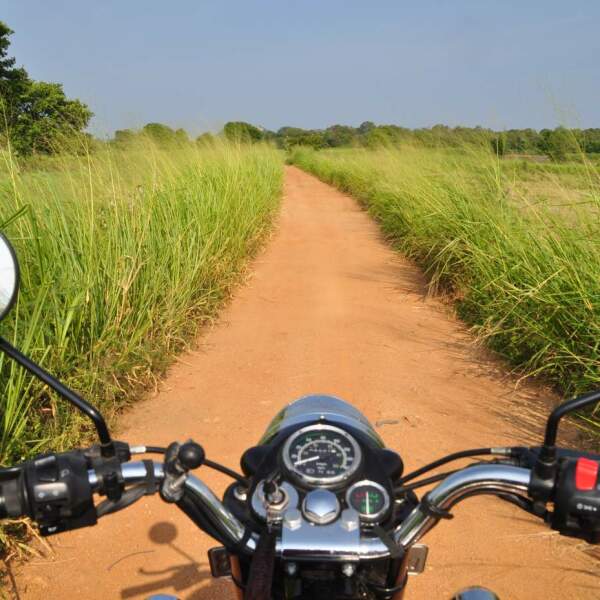 Motorradreisen Sri Lanka Berge Elefanten Yala